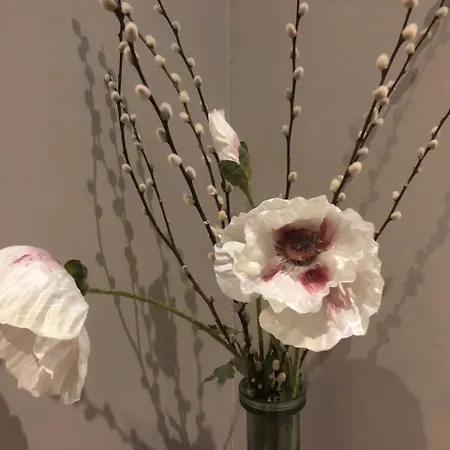 Red Dragon 여관 커크비로즈데일